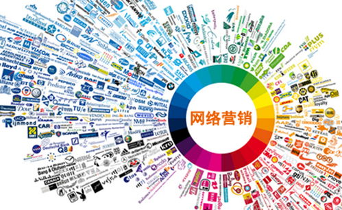 杭州网络推广 橙速科技以专业技术服务为企业发展保驾护航