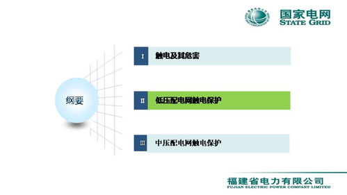 配电网触电保护技术与服务——会议报告