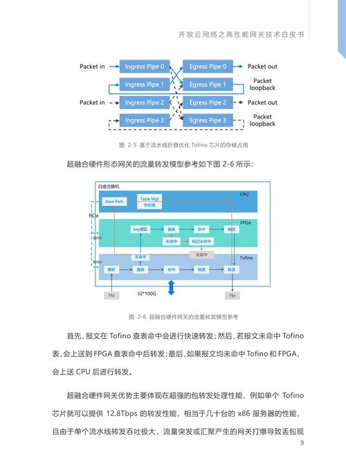 开放云网络之高性能网关技术白皮书
