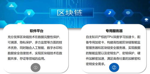 中央一号文件 科技赋能农业，第五代网络技术与人工智能物联网引领新时代农业网站建设